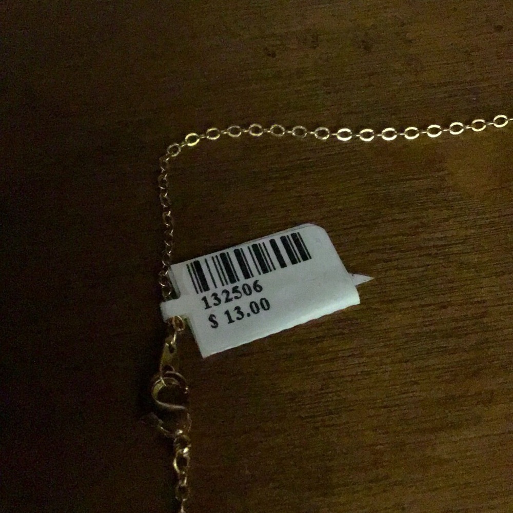 NWT Lipstick Pendant Necklace - Picture 4 of 4